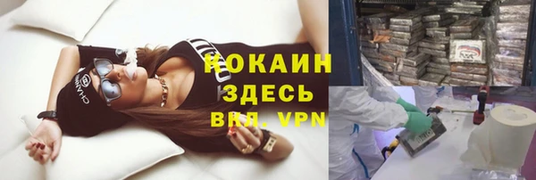 винт Алзамай