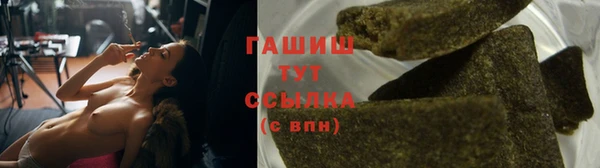 гидра Алексеевка
