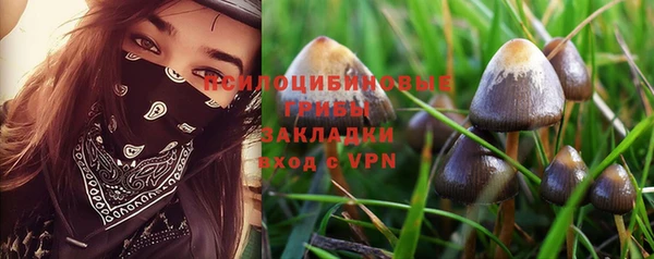мескалин Аркадак